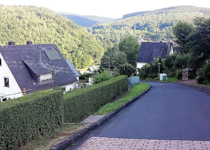 بيت ضيافة Niederdreisbacher Hof Niederdreisbach